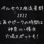 ペルセウス座流星群2022神奈川・横浜スポット