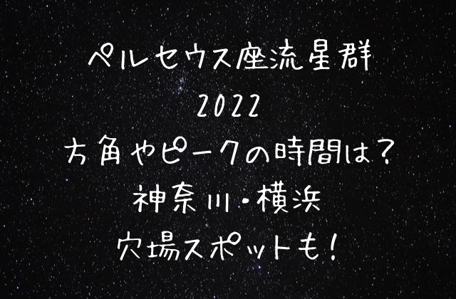 ペルセウス座流星群2022神奈川・横浜スポット
