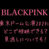 BLACKPINK(ブルピン)ライブ東京ドーム公演2023はどこで視聴できる？見逃しについても！