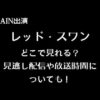  【RAIN(ピ)出演】サスペンス「レッド・スワン」は視聴方法・見逃し配信や放送時間について