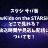 【スタシ サバ番】NewKids on the STARSHIPはどこで見れる？放送時間や見逃し配信についても！