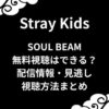 スキズ【ソルビム】無料視聴はできる？配信情報や見逃し視聴方法まとめ