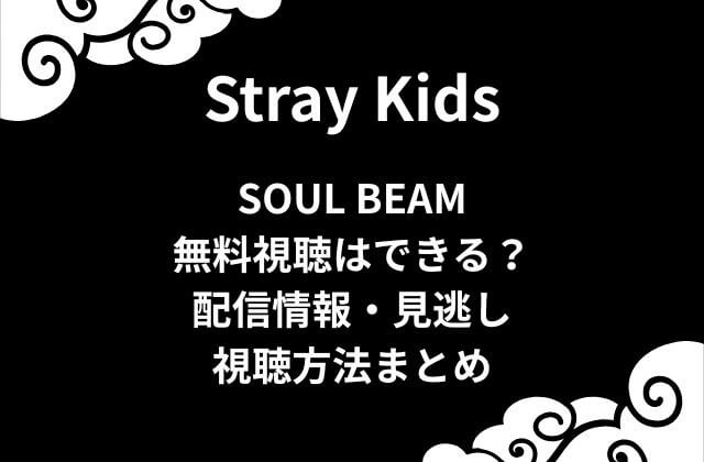 スキズ【ソルビム】無料視聴はできる？配信情報や見逃し視聴方法まとめ